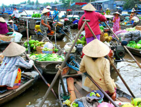 Mekong Delta and Cai Rang Floating Market Half-Day Tour