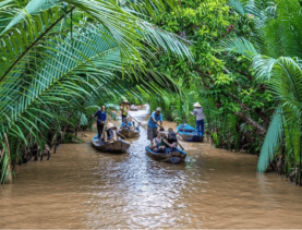 Package tours 8 day Saigon Mekong detal, Phu Quoc
